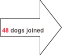 

48 dogs joined