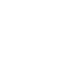 16th September2012 

THE DAY OF THE DOG
Hutton-in-the-Forest     The Lake District
