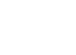 17th October 2010 



THE DAY OF THE DOG
in Regent’s Park 
with David Verey 
and Bruce Fogle